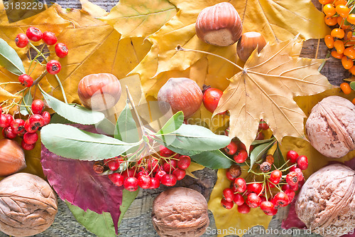 Image of autumn background