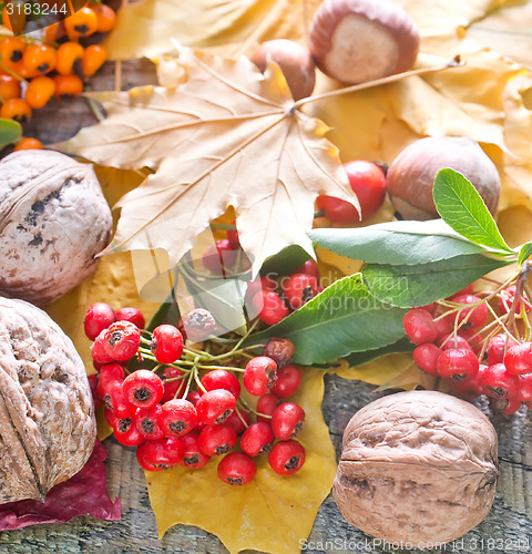 Image of autumn background