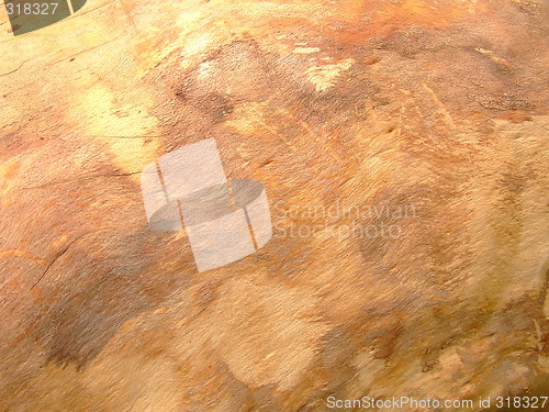 Image of wood surface