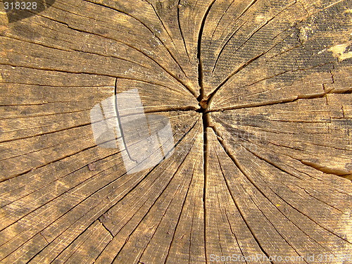 Image of wood texture