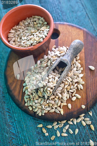 Image of sunflower seed