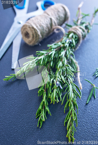 Image of rosemary