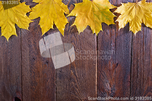 Image of autumn background