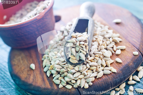 Image of sunflower seed