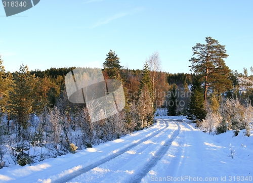 Image of Winter road