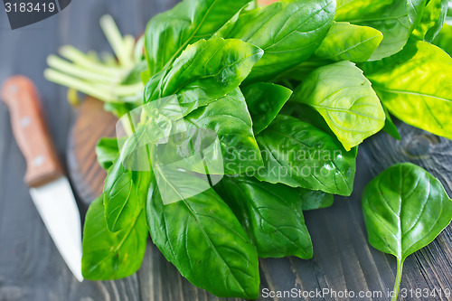 Image of fresh basil