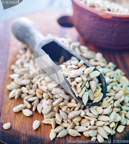 Image of sunflower seed