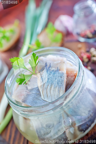 Image of herring