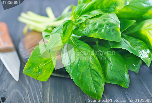 Image of fresh basil