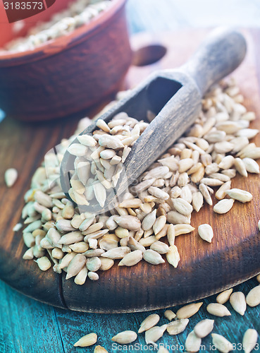 Image of sunflower seed