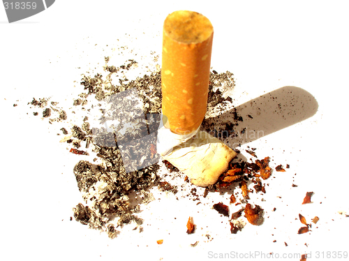 Image of Butt of cigarette with ash