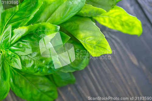 Image of fresh basil