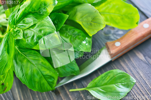 Image of fresh basil