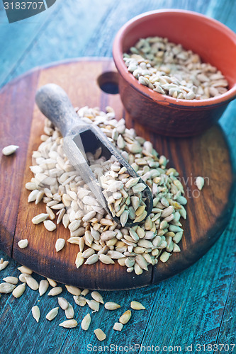 Image of sunflower seed