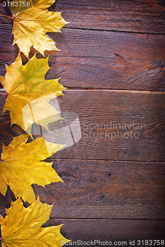 Image of autumn background