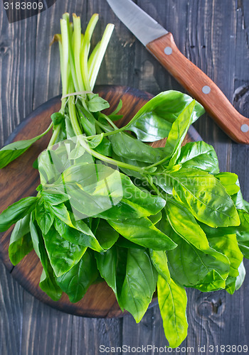 Image of fresh basil