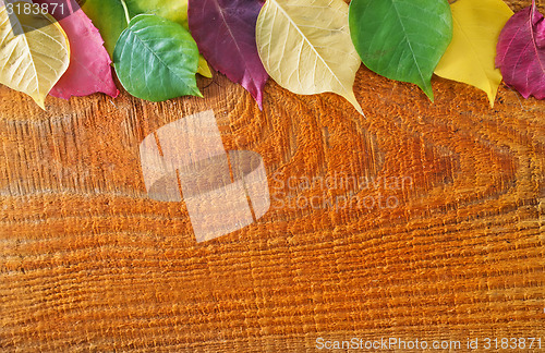 Image of autumn background