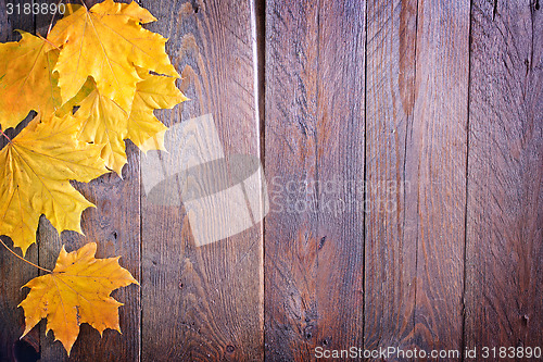 Image of autumn background