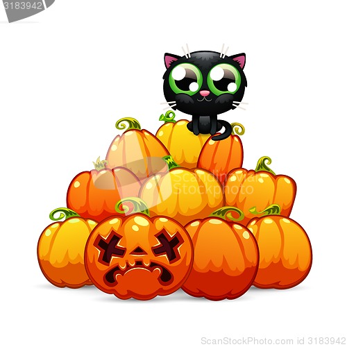 Image of Heap of Halloween Pumpkins with a Black Cat on it