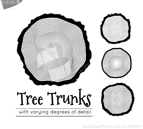 Image of Cross section of the trunk, vector illustration