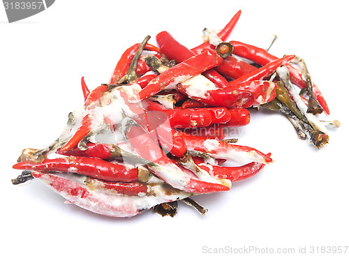Image of rotten chili pepper