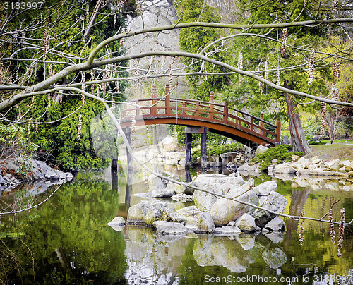 Image of Bridge in the park