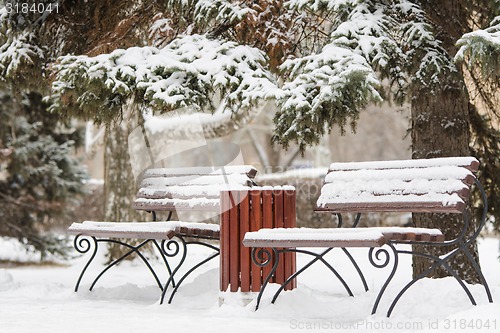 Image of Winter landscape with two benches