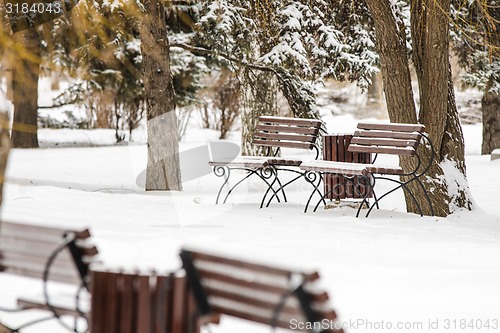Image of Winter landscape park with benches in foreground 