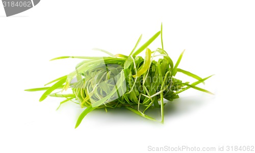 Image of figure green grass isolated