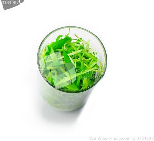 Image of filling bright green grass isolated