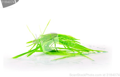 Image of figure green grass isolated