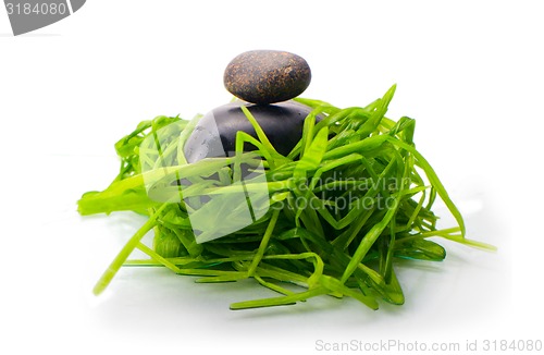 Image of zen stone in green grass isolated