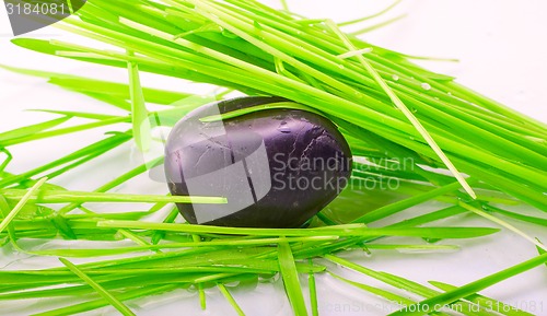 Image of stone in green grass isolated