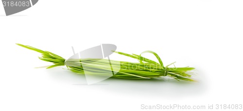 Image of figure green grass isolated