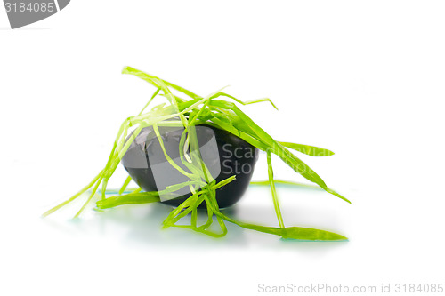 Image of stone in green grass isolated