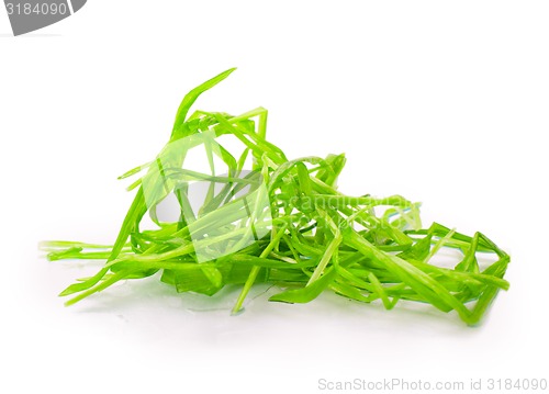 Image of figure green grass isolated