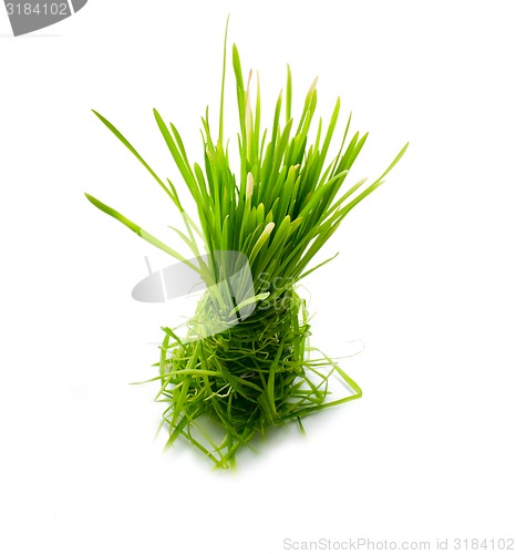 Image of figure green grass isolated