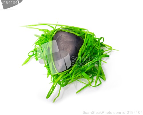 Image of stone in green grass isolated