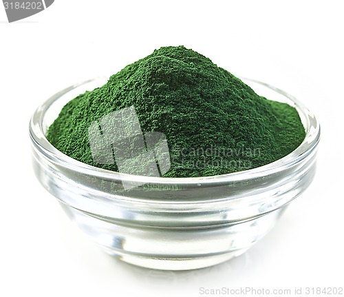 Image of bowl of spirulina algae powder