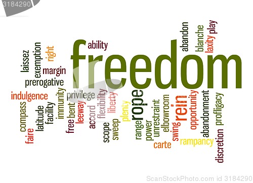 Image of Freedom word cloud