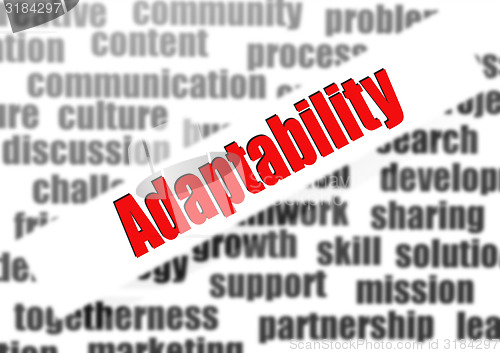 Image of Adaptability word cloud