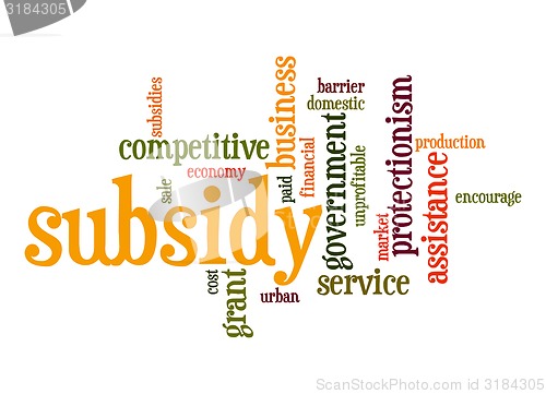 Image of Subsidy word cloud