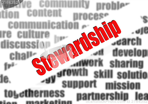 Image of Stewardship word cloud