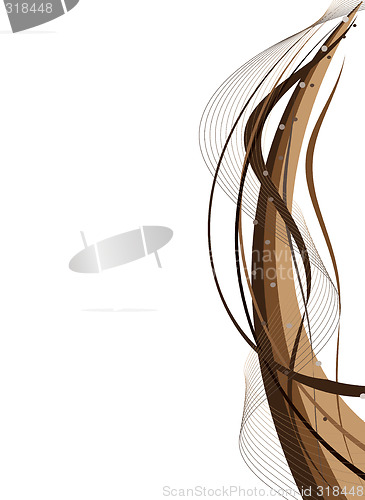 Image of coffee floral