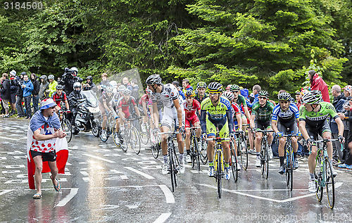 Image of The Peloton