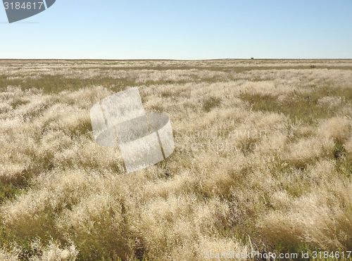 Image of Makgadikgadi Pan