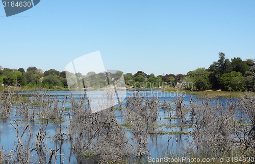 Image of around Maun in Botswana