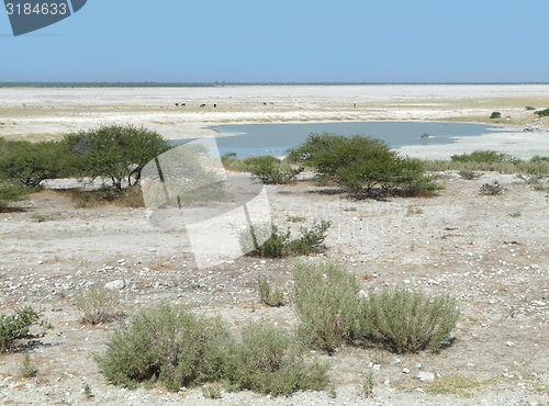 Image of Makgadikgadi Pan