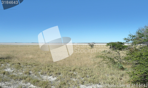 Image of Makgadikgadi Pan