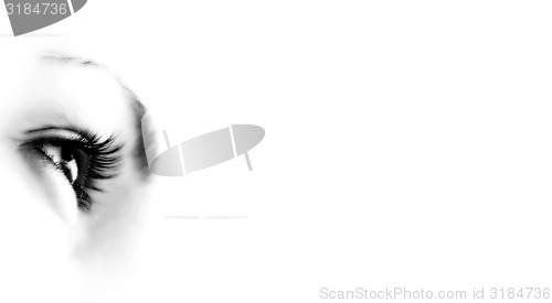 Image of Women\'s eye - looking forward.Isolated on white.